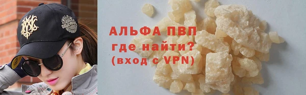 дурь Бородино