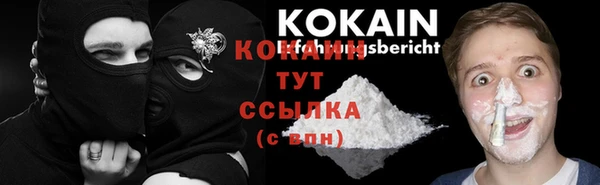 spice Богданович